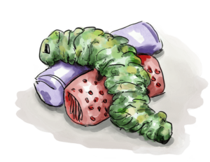 catepillar